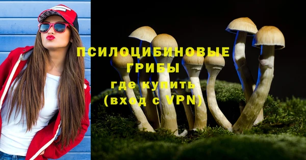 винт Майский