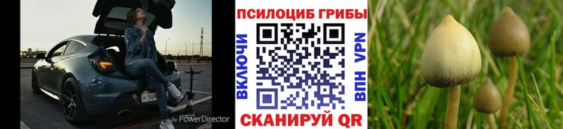 Галлюциногенные грибы GOLDEN TEACHER  где можно купить наркотик  Нижнекамск 